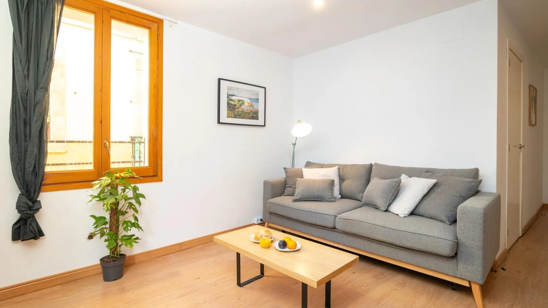Comfy Stay Barcelona Cathedral Spain